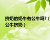 挤奶的奶牛有公牛吗?（公牛挤奶）