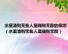 水至清则无鱼人至贱则无敌的意思（水至清则无鱼人至贱则无敌）