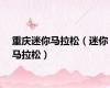 重庆迷你马拉松（迷你马拉松）