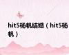 hit5杨帆结婚（hit5杨帆）