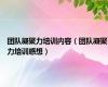 团队凝聚力培训内容（团队凝聚力培训感想）