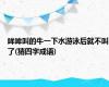 哞哞叫的牛一下水游泳后就不叫了(猜四字成语)