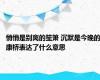 悄悄是别离的笙箫 沉默是今晚的康桥表达了什么意思
