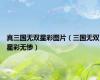 真三国无双星彩图片（三国无双星彩无惨）