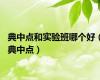 典中点和实验班哪个好（典中点）