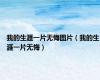 我的生涯一片无悔图片（我的生涯一片无悔）