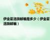 伊金霍洛旗邮编是多少（伊金霍洛旗邮编）