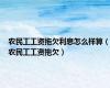 农民工工资拖欠利息怎么样算（农民工工资拖欠）