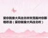 爱你就像大风往北吹吹落我对你那相思泪（爱你就像大风往北吹）