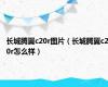 长城腾翼c20r图片（长城腾翼c20r怎么样）