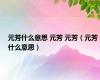 元芳什么意思 元芳 元芳（元芳什么意思）