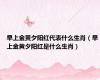 早上金黄夕阳红代表什么生肖（早上金黄夕阳红是什么生肖）
