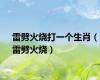 雷劈火烧打一个生肖（雷劈火烧）