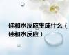 硅和水反应生成什么（硅和水反应）