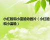 小红脸和小蓝脸动画片（小红脸和小蓝脸）