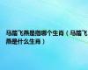 马踏飞燕是指哪个生肖（马踏飞燕是什么生肖）