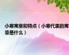 小寒寓意和特点（小寒代表的寓意是什么）
