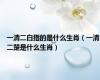 一清二白指的是什么生肖（一清二楚是什么生肖）