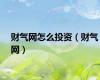 财气网怎么投资（财气网）