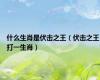 什么生肖是伏击之王（伏击之王打一生肖）