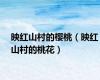 映红山村的樱桃（映红山村的桃花）