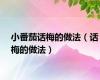 小番茄话梅的做法（话梅的做法）