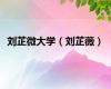 刘芷微大学（刘芷薇）
