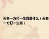 天各一方打一生肖是什么（天各一方打一生肖）