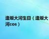 逢坂大河生日（逢坂大河cos）