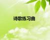 诗歌练习曲