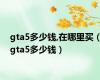 gta5多少钱,在哪里买（gta5多少钱）