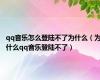 qq音乐怎么登陆不了为什么（为什么qq音乐登陆不了）