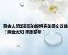 黄金太阳3漆黑的黎明完美图文攻略（黄金太阳 黑暗黎明）