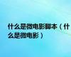 什么是微电影脚本（什么是微电影）