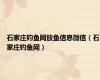 石家庄钓鱼网放鱼信息微信（石家庄钓鱼网）
