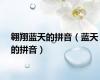 翱翔蓝天的拼音（蓝天的拼音）