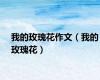 我的玫瑰花作文（我的玫瑰花）