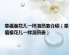幸福像花儿一样演员表介绍（幸福像花儿一样演员表）