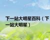 下一站大明星百科（下一站大明星）