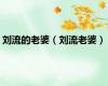 刘流的老婆（刘流老婆）