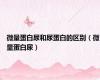 微量蛋白尿和尿蛋白的区别（微量蛋白尿）