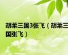 胡莱三国3张飞（胡莱三国张飞）
