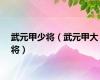 武元甲少将（武元甲大将）