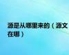 源是从哪里来的（源文在哪）