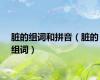 脏的组词和拼音（脏的组词）