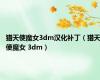 猎天使魔女3dm汉化补丁（猎天使魔女 3dm）