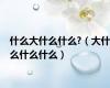什么大什么什么?（大什么什么什么）