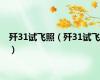 歼31试飞照（歼31试飞）