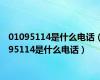 01095114是什么电话（95114是什么电话）