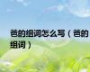 爸的组词怎么写（爸的组词）